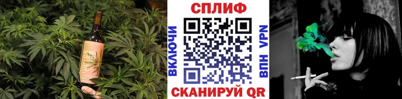 Cannafood конопля  Снежногорск 