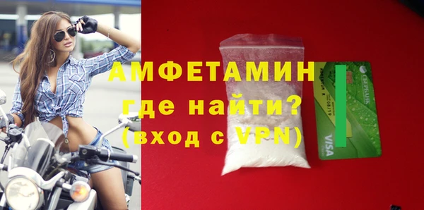 прущие грибы Надым