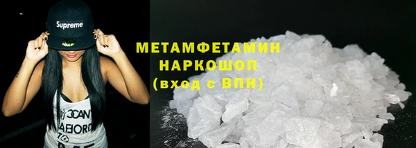 прущие грибы Надым
