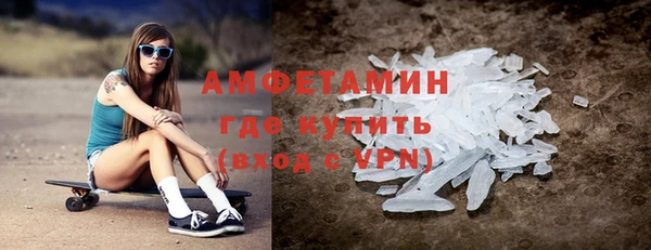 прущие грибы Надым